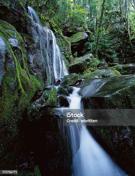 Photo libre de droit de Cascade De Smoky Mountain banque d'images et plus d'images libres de droit de Paysage - Paysage, Tennessee, Appalaches