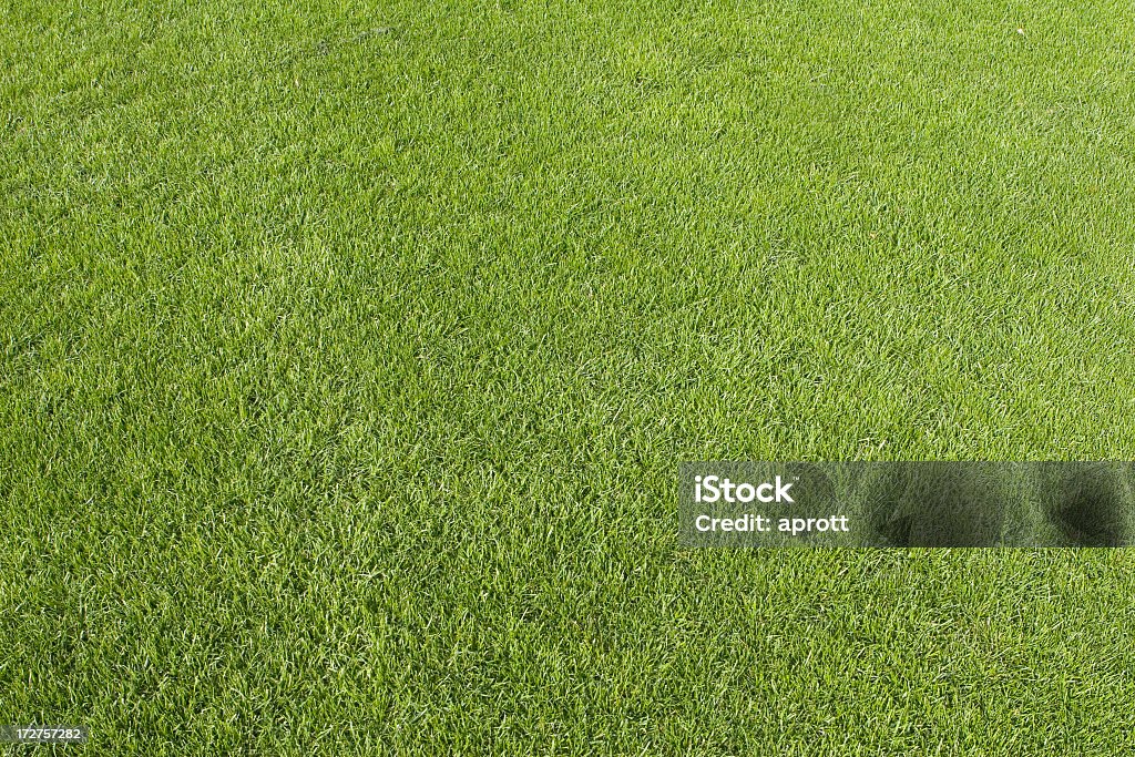 芝の完璧なお手入れに使用して前の芝生 - きちんとしているのロイヤリティフリーストックフォト