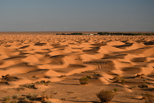 Orange sandy dunes of Sahara desert in Tunisia with the blue sky and desert oasis in the background.