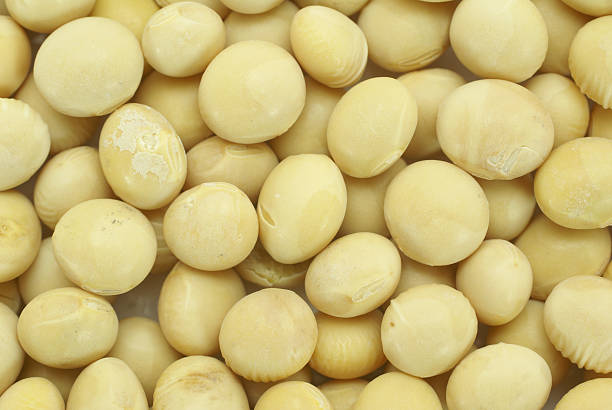 istock soy beans food background 172757593