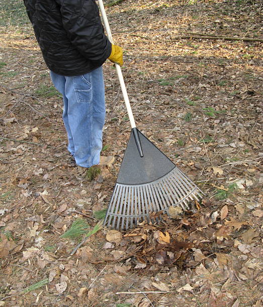 istock Man Gardener Raking Rake Leaves 172757751
