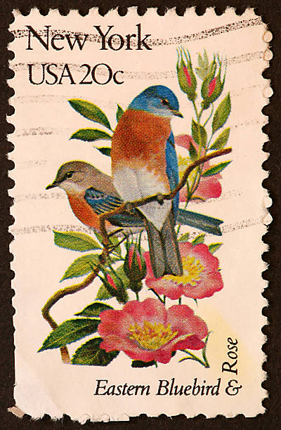 New York, bluebird, and rose stamp. stock photo