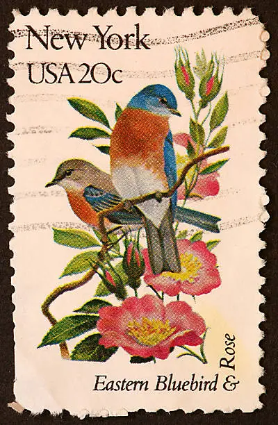 postage stamp of New York and it's state bird and flower.