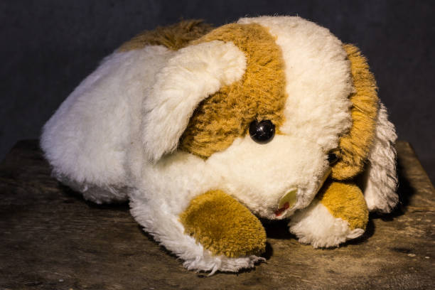 istock Still life Cute dog brown doll 1727581368