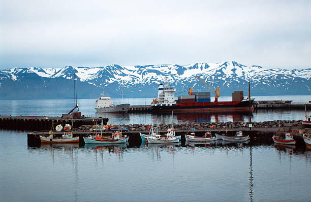Many Boats Parked In Lake Luzern Pier