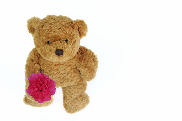 urso de pelúcia com espaço para texto - reconciliation carnation consoling teddy bear imagens e fotografias de stock