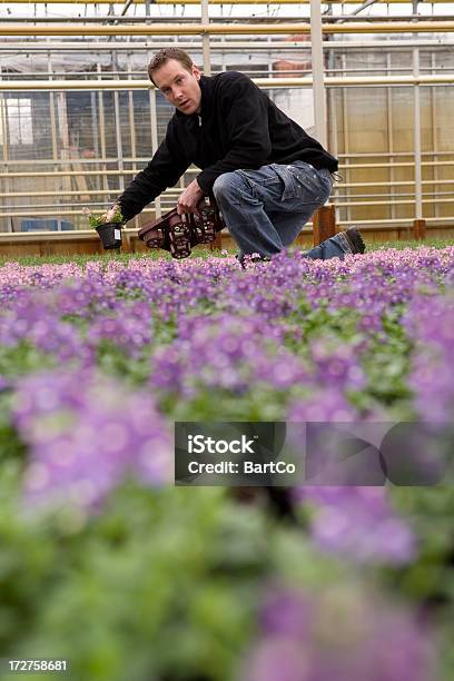 Blumen In Der Glasshouse Brasserie Stockfoto und mehr Bilder von Arbeiten - Arbeiten, Arbeitsstätten, Berufliche Beschäftigung