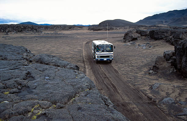 istock The interior of Iceland 172758865