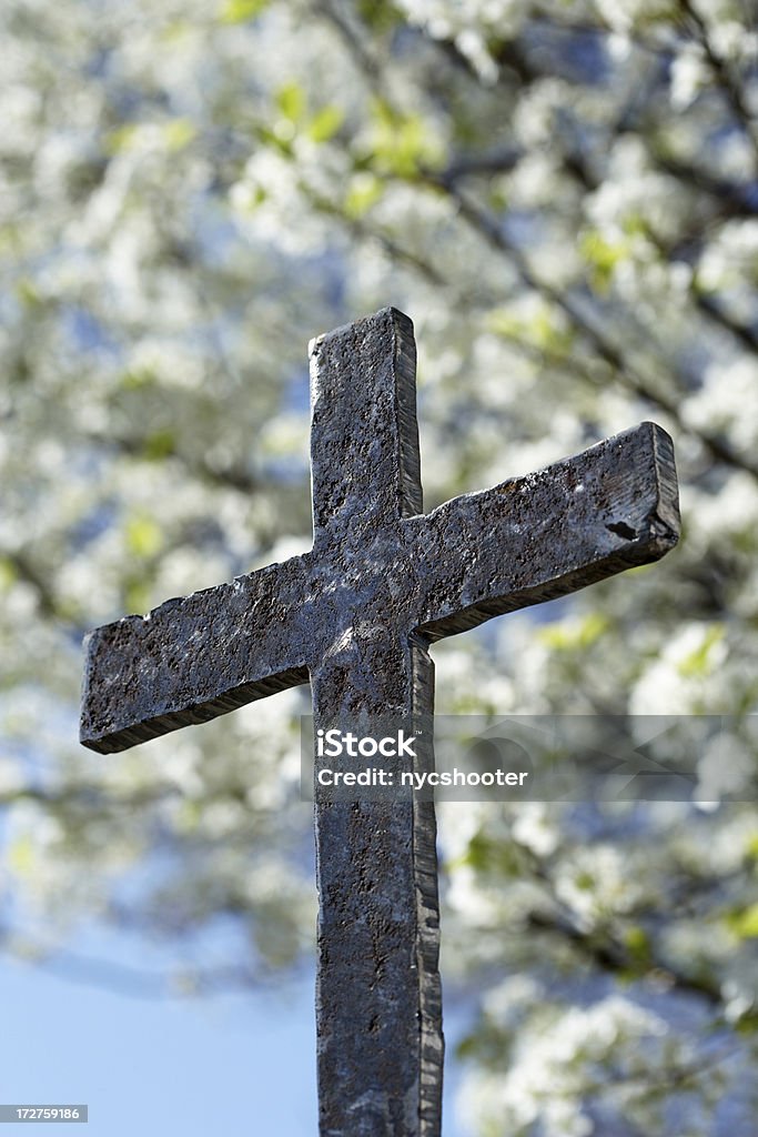 Um velho enferrujado ferro Crucifixo com árvore no fundo desfocado - Royalty-free Aço Foto de stock