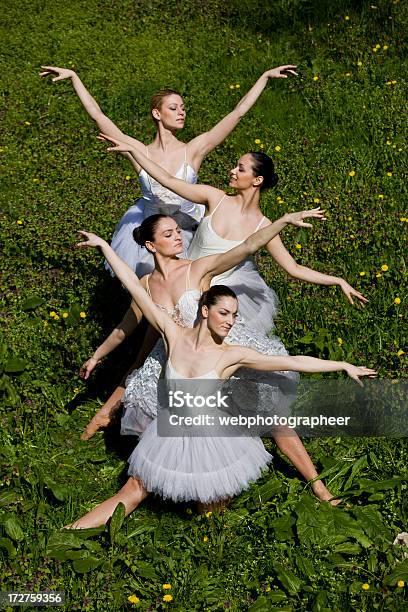Ballerinas Stockfoto und mehr Bilder von Aktiver Lebensstil - Aktiver Lebensstil, Aktivitäten und Sport, Anmut