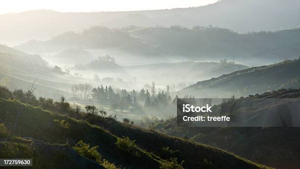 Cedo De Manhã - Fotografias de stock e mais imagens de Bolonha - Bolonha, Encosta, Abeto