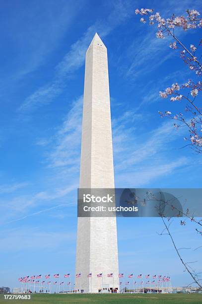 Photo libre de droit de Fleur De Cerisier Et Le Monument De Washington banque d'images et plus d'images libres de droit de Arbre en fleurs - Arbre en fleurs, Avril, Capitales internationales