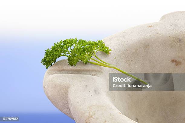 Morter And Parsley Stock Photo - Download Image Now - 1850-1859, Antique, Cut Out