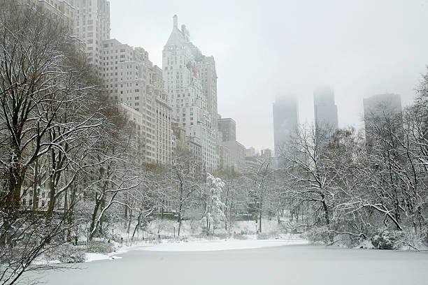 istock Central Park Winter Wonderland 172760193