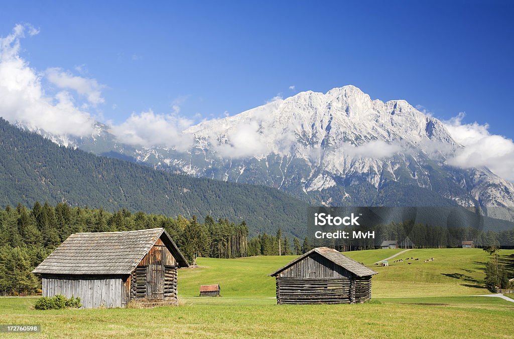 alpine Pâturage - Photo de Agriculture libre de droits