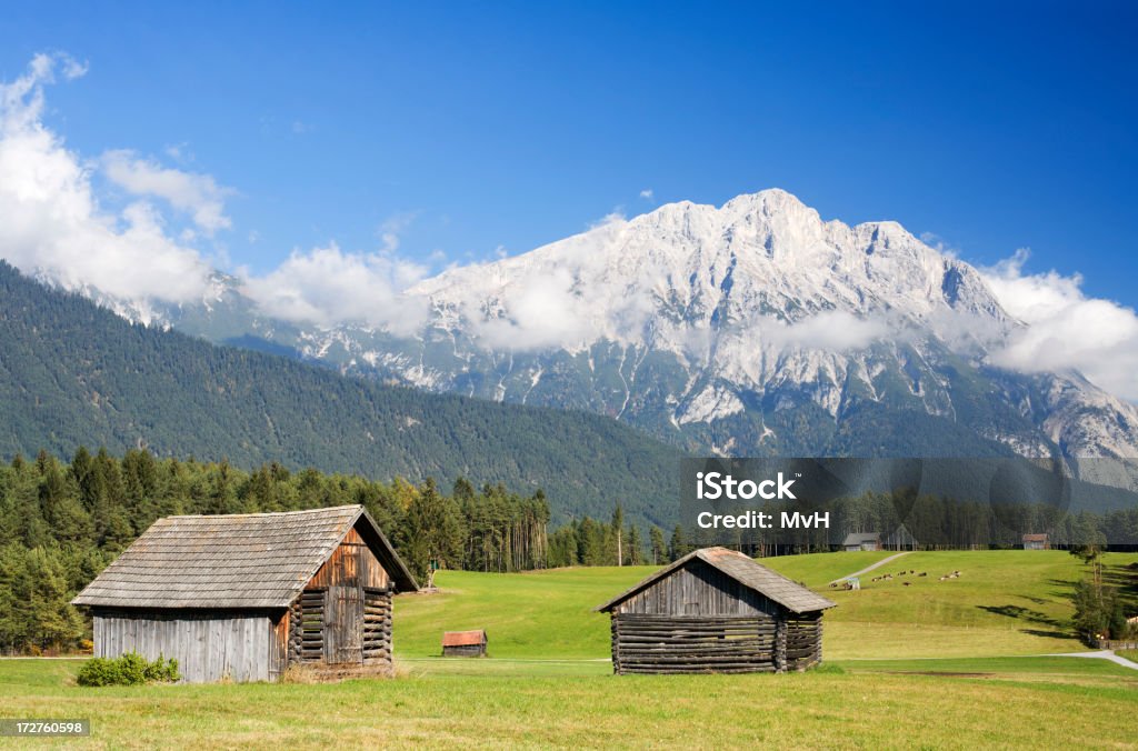 alpine pasture - Foto de stock de Agricultura royalty-free