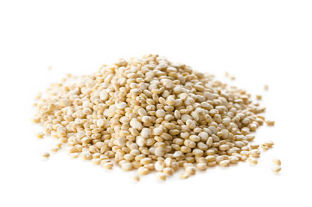 Quinoa stock photo