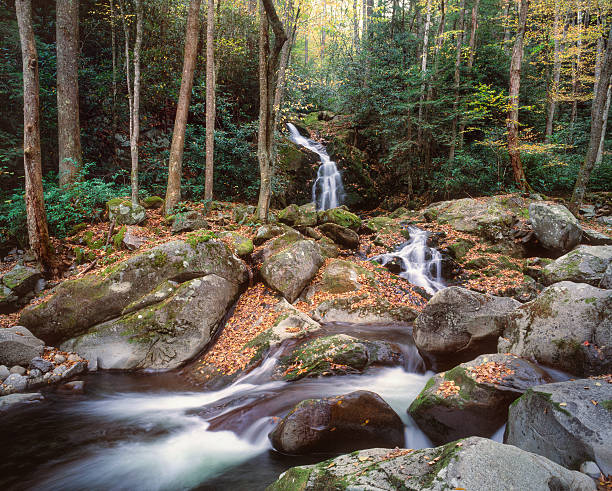 souris creek falls - rapid appalachian mountains autumn water photos et images de collection