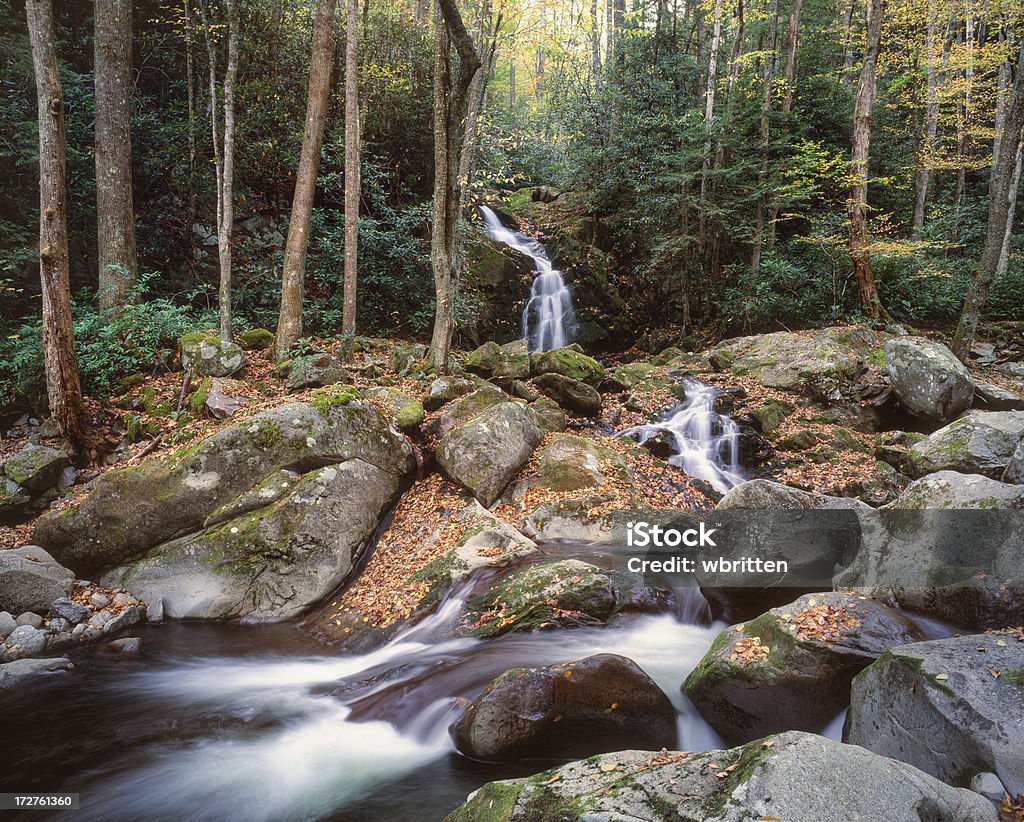 Mouse Creek Falls - Foto stock royalty-free di Acqua