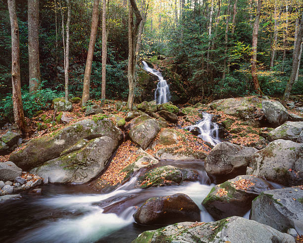 mouse creek falls - rapid appalachian mountains autumn water - fotografias e filmes do acervo