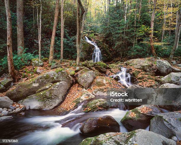 Rato Creek Falls - Fotografias de stock e mais imagens de Appalachia - Appalachia, Aventura, Cascata