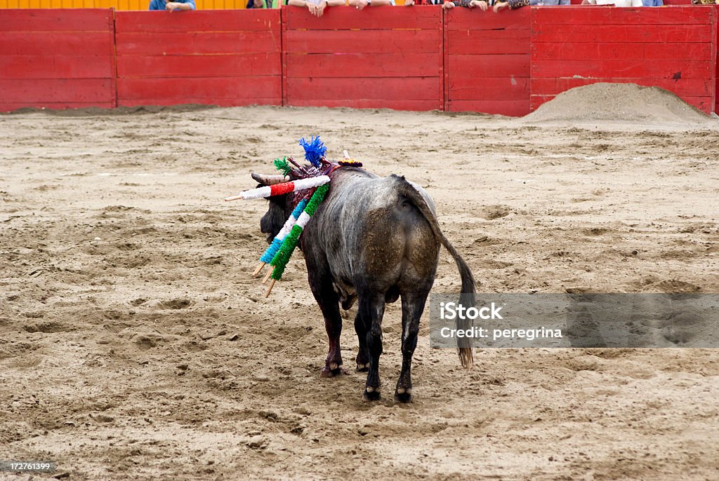 Bull in A Arena de Touros - Royalty-free Animal Foto de stock