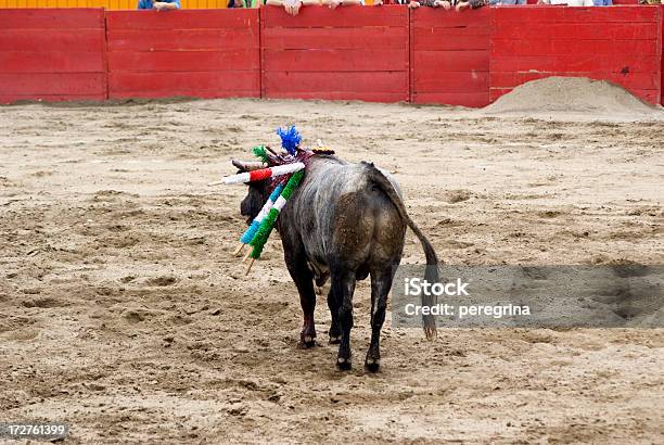 Bull In A Arena De Touros - Fotografias de stock e mais imagens de Animal - Animal, Arte, Cultura e Espetáculo, Bandarilha