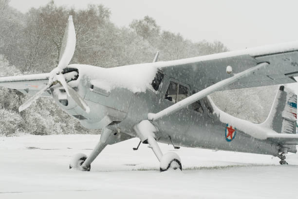 Aviões Vintage cobertos de neve - fotografia de stock