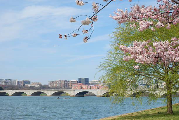 istock Bridge on Potomac River and Cherry Blossom, Washington DC 172761827