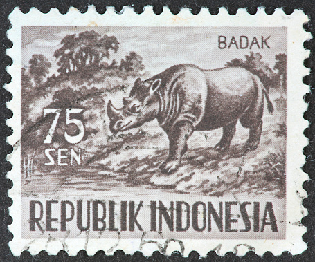 old Indoneasian stamp with rhino.