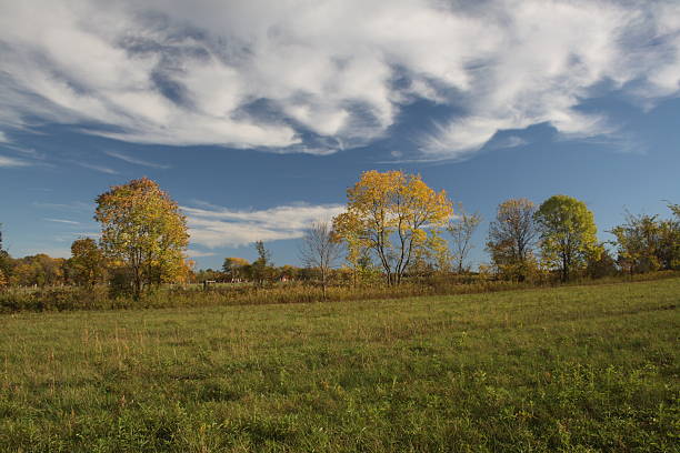 herbst farm meadow - cirrostratus nobody field autumn stock-fotos und bilder