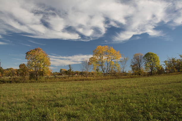 падение ферма meadow - cirrostratus nobody field autumn стоковые фото и изображения