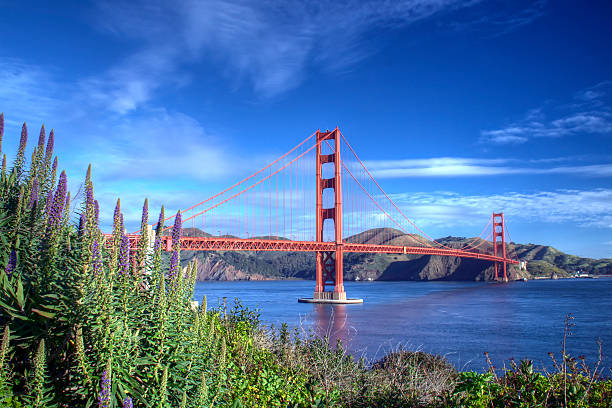 matin d'hiver golden gate bridge - fort point historic site photos et images de collection