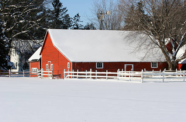 istock Snow at the Farm 172762524