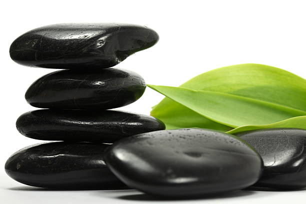 istock Lava Stones with Leaves 172763389