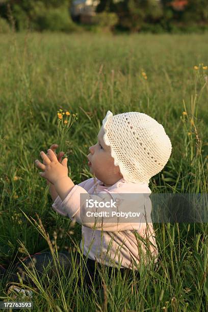 In A Grass Stock Photo - Download Image Now - 12-17 Months, Agricultural Field, Babies Only