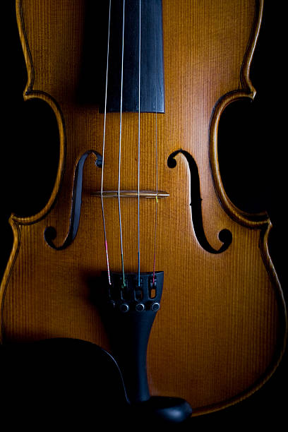 istock Close-up of a classical violin 172764000