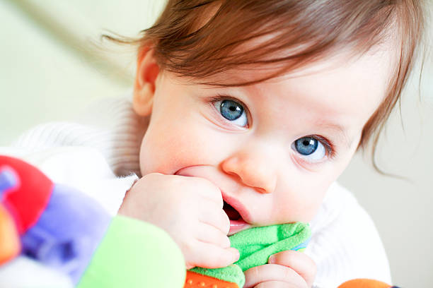 istock A blue-eyed toddler discovering their toy 172764520