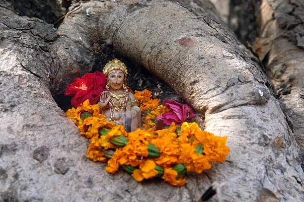 A mini statue of lord Hanuman placed on a tree trunk. Symbolic tree-worship.
