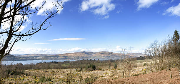 istock Panoramic View Across Loch Lomond To Balcnock And Creachan Hill 172764871