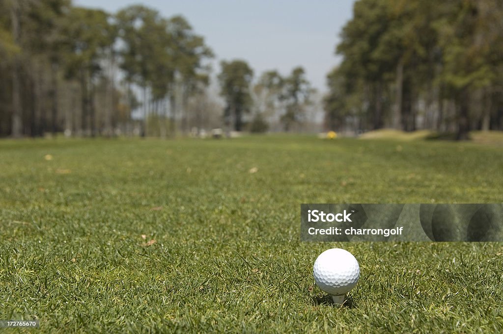 Golfen in South Carolina. - Lizenzfrei Golf Stock-Foto