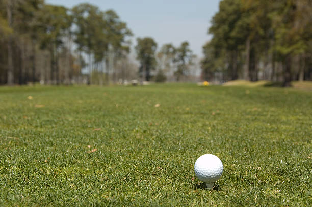 Golf ball on a tee in South Carolina