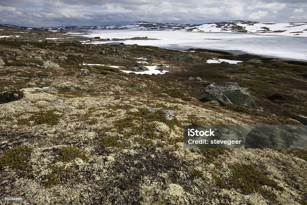 High Country in Norway  Europe Stock Photo