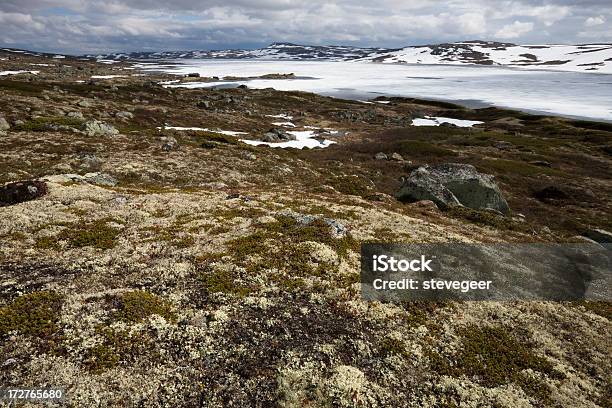 High Country In Norway Stock Photo - Download Image Now - Europe, Extreme Terrain, Famous Place