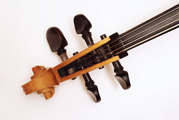 instrumento de cordas - wolfgang amadeus mozart johann sebastian bach symphony orchestra cello imagens e fotografias de stock
