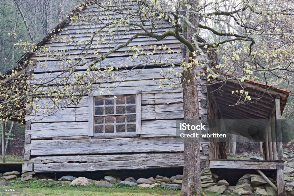Cabina de colonos con Dogwood - Foto de stock de Appalachia libre de derechos