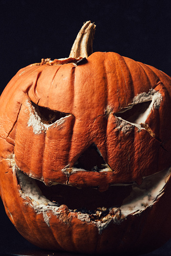 Studio shot of Jack o Lantern Halloween Pumpkin