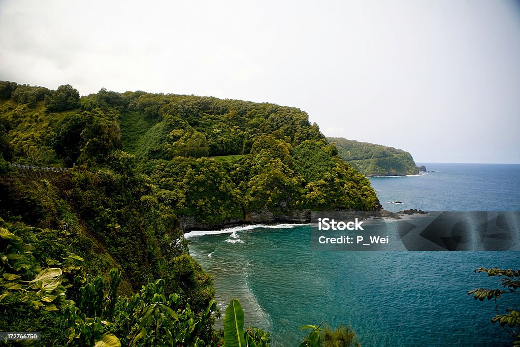 Estrada para Hana, em Maui - Foto de stock de Hana - Maui royalty-free