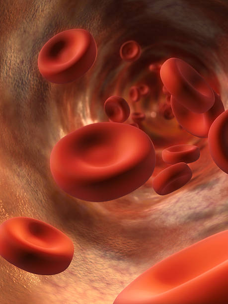 istock Blood cells cruising down a vein 172766821