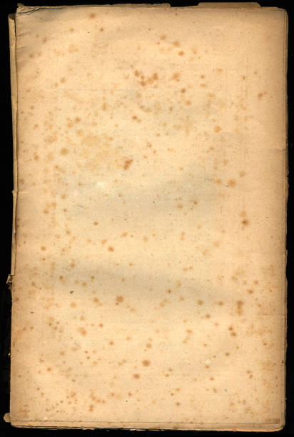istock Vintage Paper Frame Vol VI 172766861